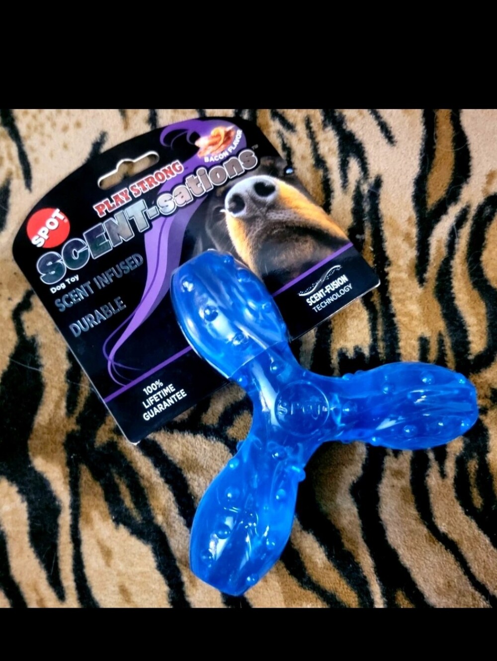 Spot Dog Dental Chew Toy Scent Sensations Bacon Small Ea.